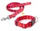 Preview: eRPaki BASIC Hundehalsband Klick + Hundeleine 25mm